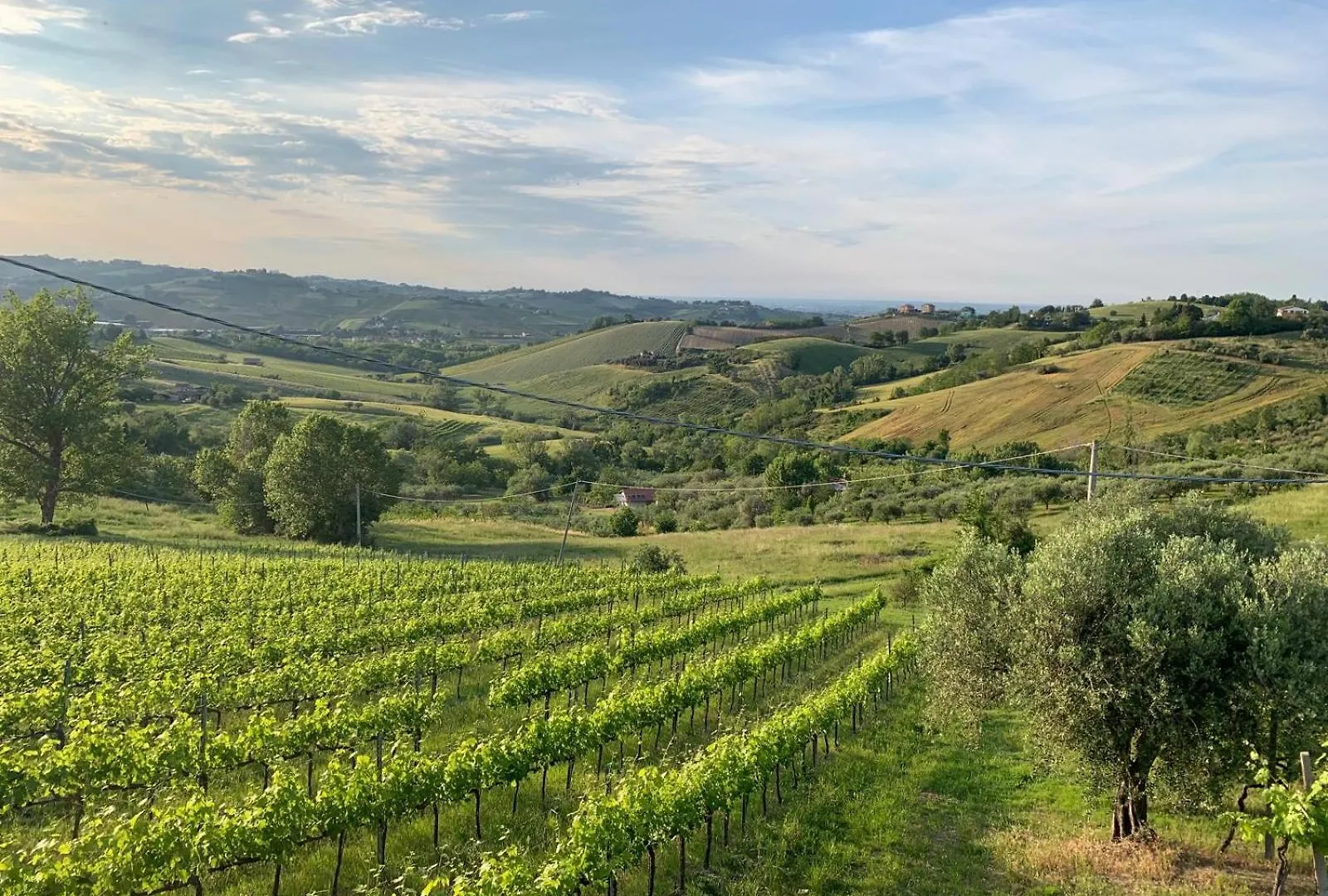 Bed & Breakfast Palazzo Gessi Room And Breakfast Borghi
